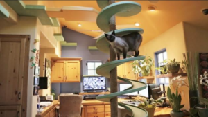 Creating a Cat-Friendly Home